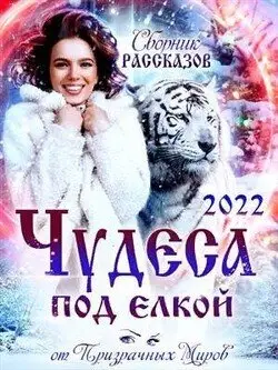 Сборник рассказов «ЧУДЕСА ПОД ЕЛКОЙ 2022»